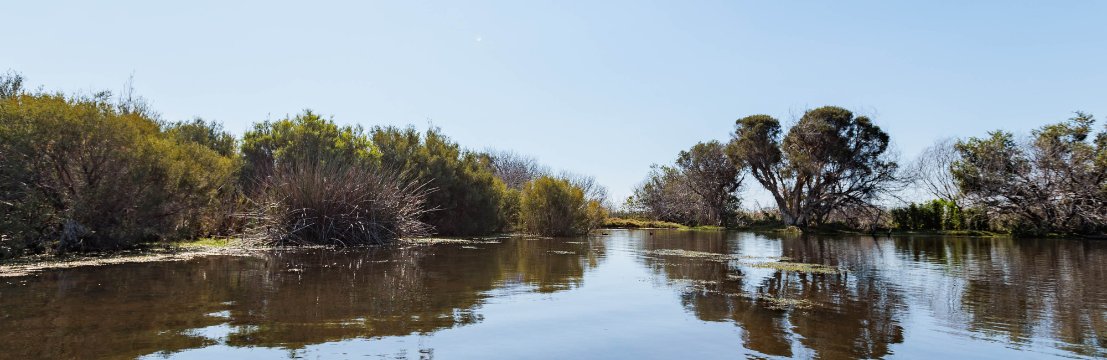 Image of Lake Monger in Wembley